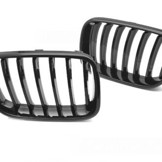 Iluvõre neerud Bmw X3 (F25)