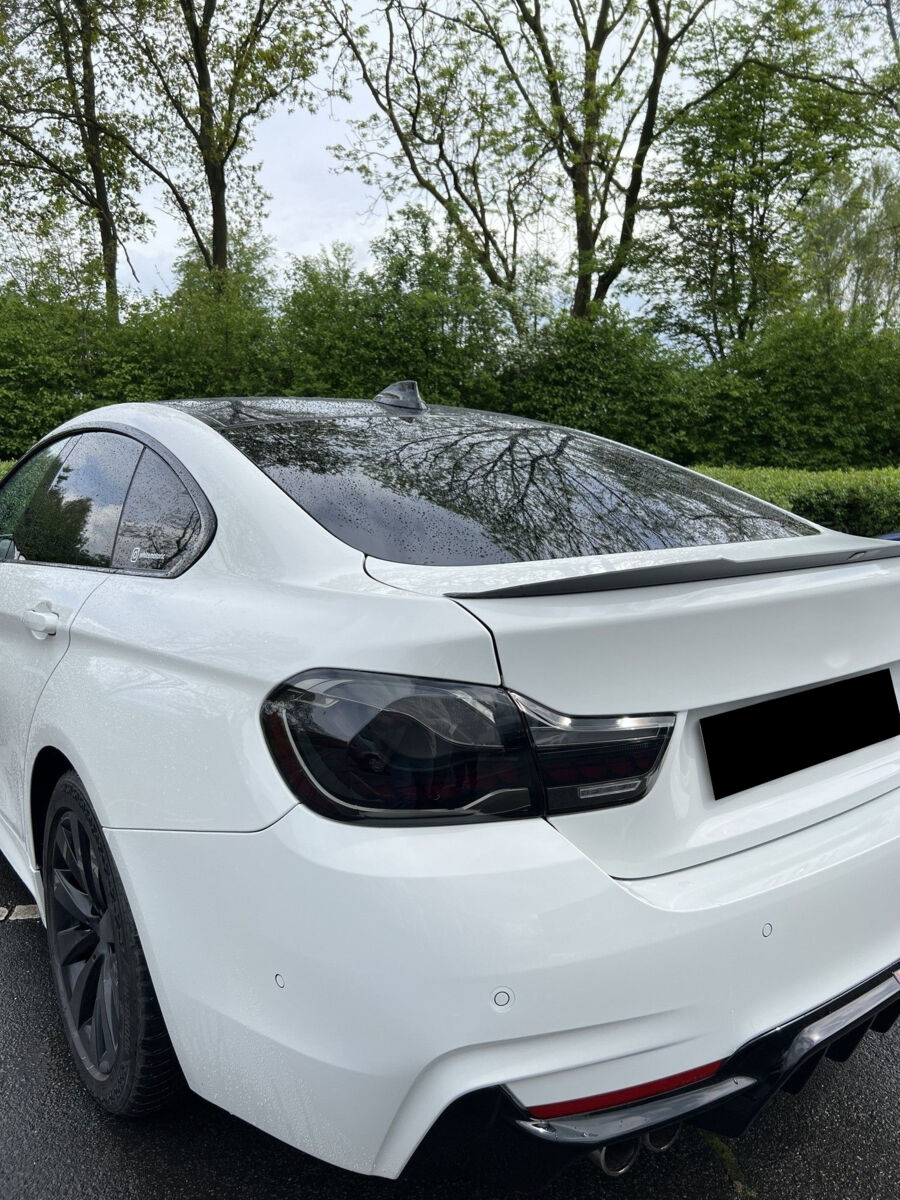 Led tagatuled “Smoke” Bmw F32 F33