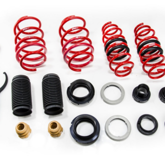 Reguleeritavad vedrud Audi / Seat / Skoda